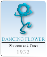 dancingflower